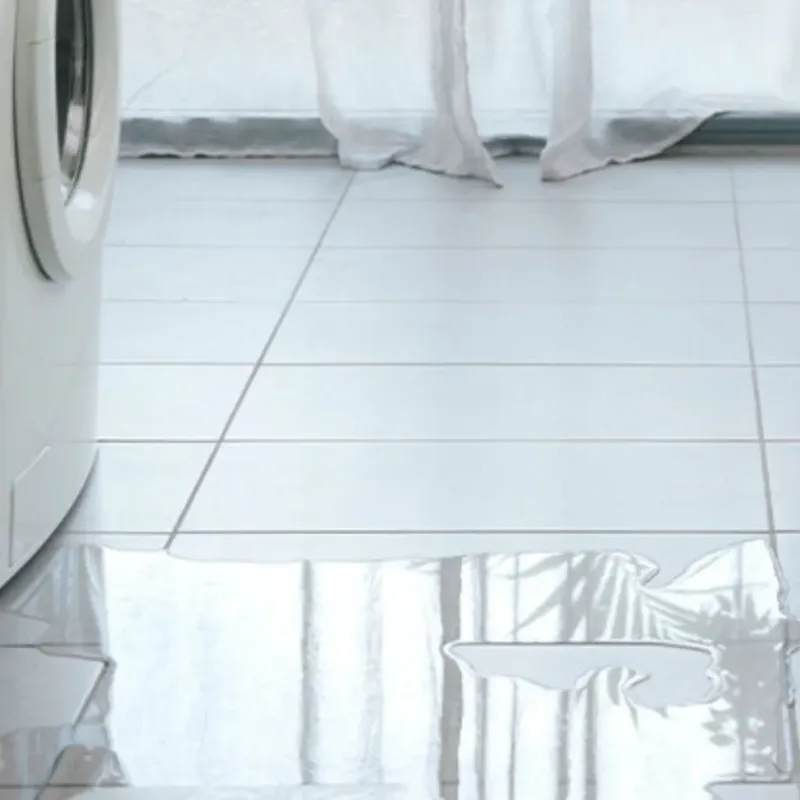 Appliance Leak Cleanup in Montgomery County, GA