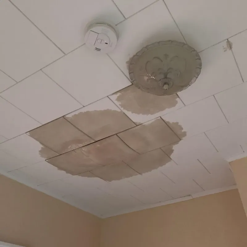 Ceiling Water Damage Repair in Montgomery County, GA