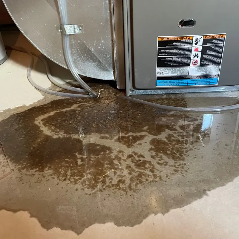 Pipe Burst and Leak Restoration in Montgomery County, GA