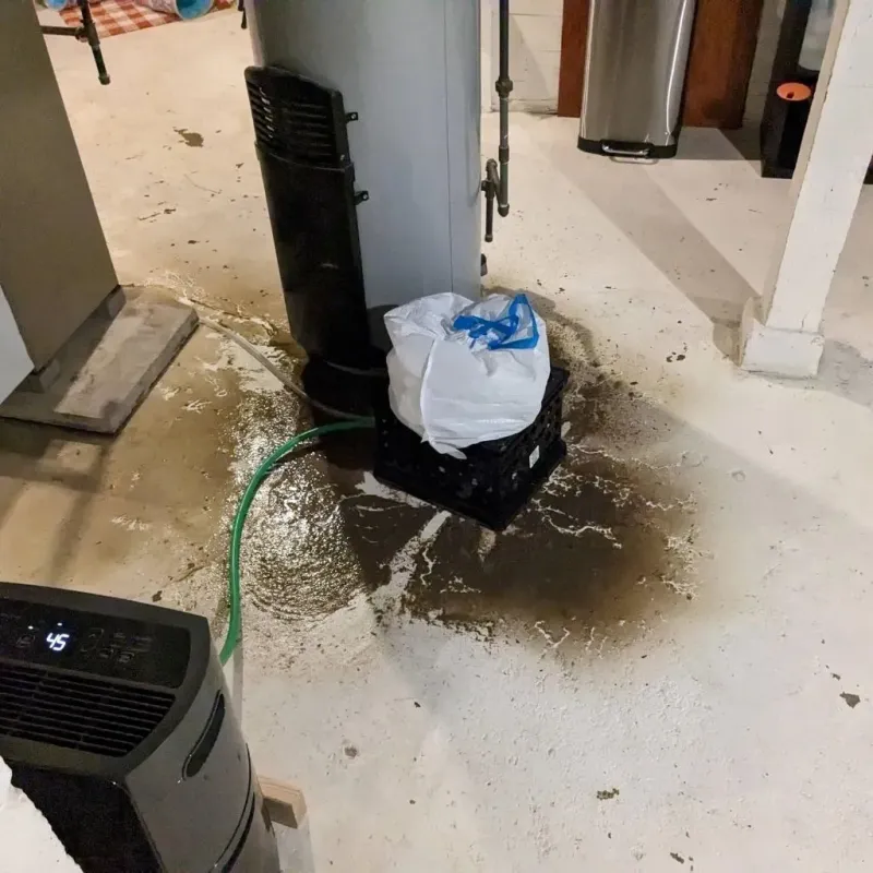 Sewage Backup Cleanup Service in Montgomery County, GA